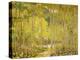 Aspen Forest-Oscar Berninghouse-Stretched Canvas