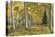 Aspen Grove I-Danny Head-Premier Image Canvas