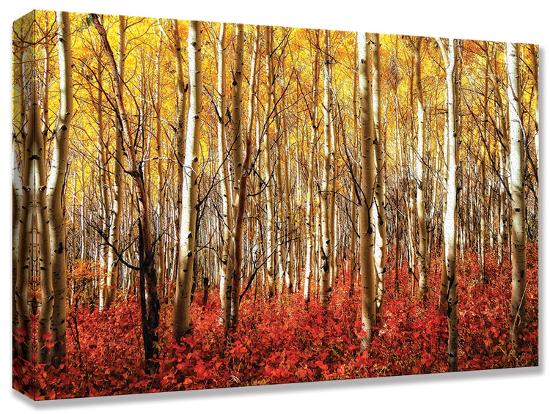  Aspen Grove Red Gallery Wrapped Canvas Art