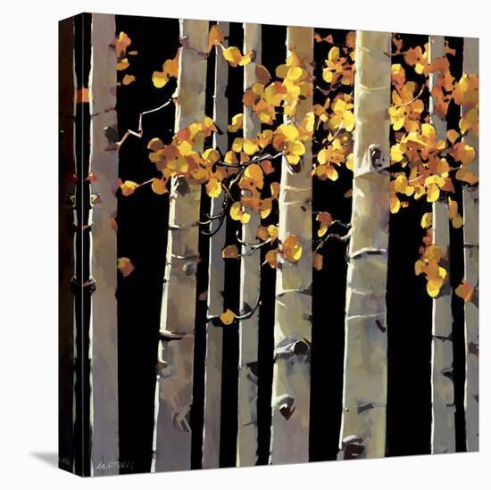 Aspen Grove-Michael O'Toole-Stretched Canvas