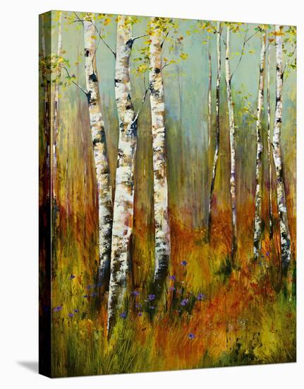 Aspen Summer-Georgie-Stretched Canvas