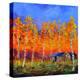 Aspen Trees in Autumn-Pol Ledent-Stretched Canvas