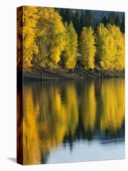 Aspen trees, Patterson Lake, Methow Valley, Washington, USA-Charles Gurche-Premier Image Canvas