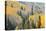 Aspen Trees, White River National Forest Colorado, USA-Charles Gurche-Premier Image Canvas