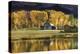 Aspen Trees with Barn-Jamie Cook-Premier Image Canvas