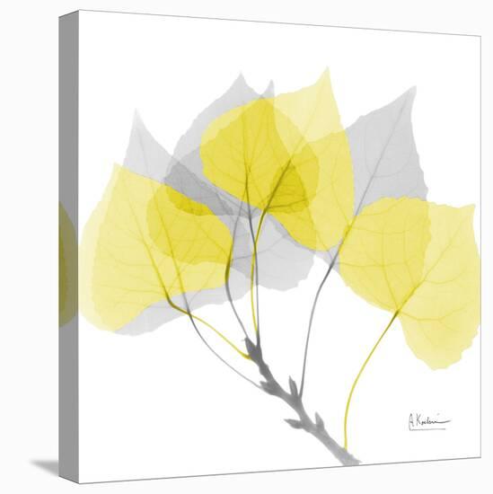 Aspen Yellow Gray-Albert Koetsier-Premier Image Canvas