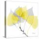 Aspen Yellow Gray-Albert Koetsier-Premier Image Canvas