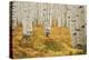 Aspens in White River National Forest Colorado, USA-Charles Gurche-Premier Image Canvas