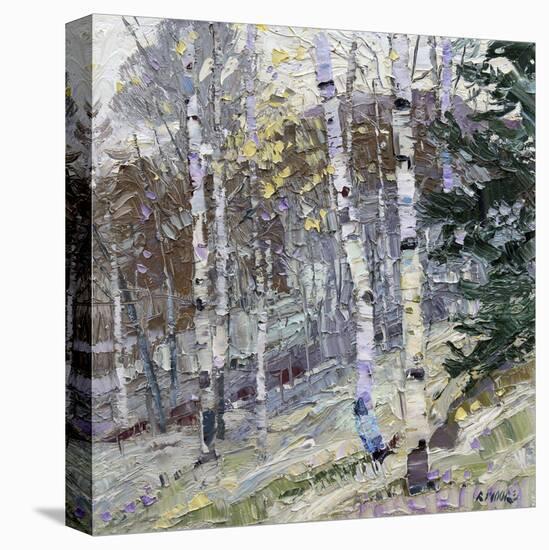 Aspens-Robert Moore-Stretched Canvas