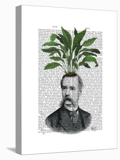 Aspidistra Head Plant Head-Fab Funky-Stretched Canvas