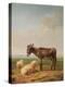 Ass and Sheep, 1849 (Oil)-Eugene Joseph Verboeckhoven-Premier Image Canvas