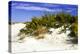 Assateague Beach 2-Alan Hausenflock-Premier Image Canvas