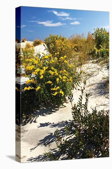 Assateague Beach 5-Alan Hausenflock-Premier Image Canvas