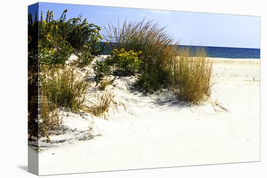 Assateague Beach 7-Alan Hausenflock-Premier Image Canvas