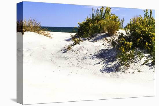 Assateague Beach 8-Alan Hausenflock-Premier Image Canvas