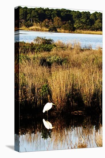 Assateague Island 1-Alan Hausenflock-Premier Image Canvas