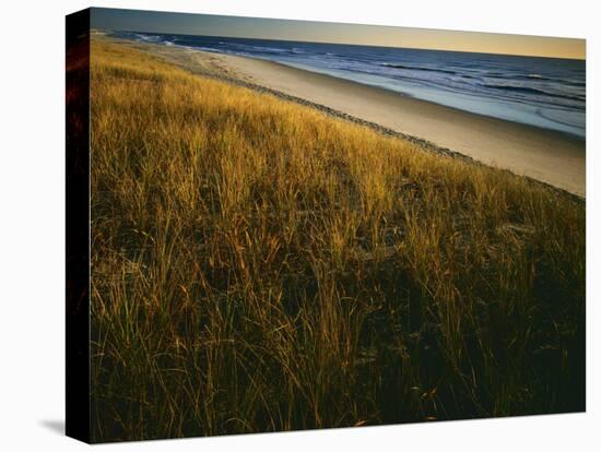 Assateague Island National Seashore, Virginia, USA-Charles Gurche-Premier Image Canvas