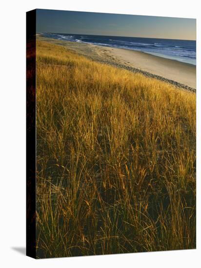 Assateague Island National Seashore, Virginia, USA-Charles Gurche-Premier Image Canvas