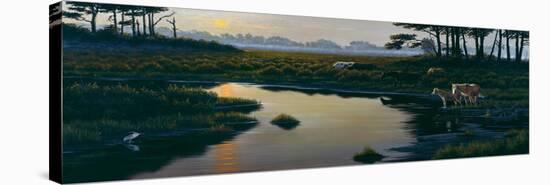 Assateague Sunset-Wilhelm Goebel-Premier Image Canvas