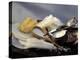 Assorted Asian Noodles and Rice-Susie M^ Eising-Premier Image Canvas