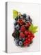 Assorted Berries and Two Cherries in Plastic Punnet-null-Premier Image Canvas