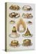 Assorted Cakes and Desserts-Isabella Beeton-Premier Image Canvas