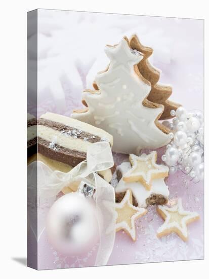 Assorted Christmas Biscuits-null-Premier Image Canvas