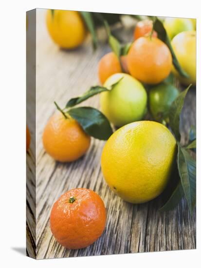 Assorted Citrus Fruit on Wooden Background-null-Premier Image Canvas