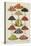 Assorted Fruits Including Melon-Isabella Beeton-Premier Image Canvas