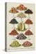 Assorted Fruits Including Melon-Isabella Beeton-Premier Image Canvas