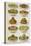 Assorted Salad Dishes-Isabella Beeton-Premier Image Canvas