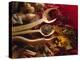 Assorted Spices in Wooden Spoons-Ulrike Koeb-Premier Image Canvas