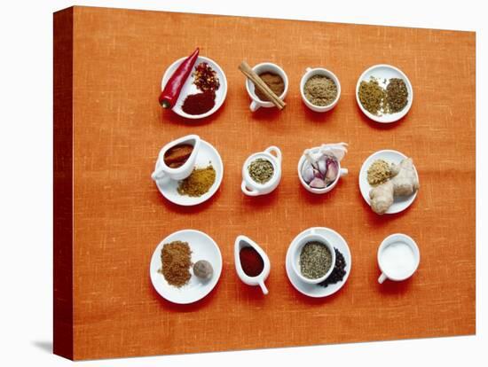 Assortment of Spices-Veronique Leplat-Premier Image Canvas