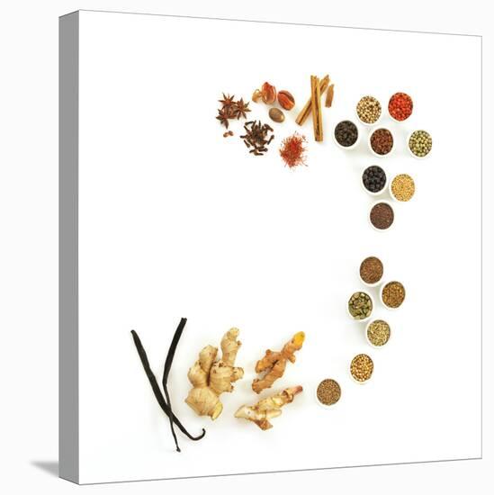 Assortment of Spices-David Munns-Premier Image Canvas