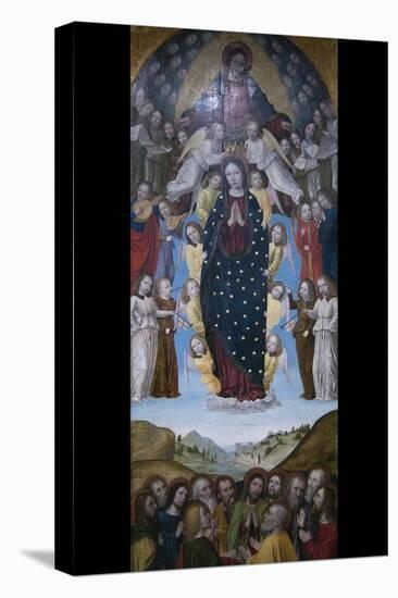 Assumption of the Virgin-Bergognone-Stretched Canvas