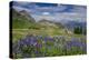 Aster, Lupine, Bistort, Indian Paintbrush, Mt Timpanogos, Utah-Howie Garber-Premier Image Canvas