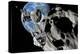 Asteroid Mining-null-Premier Image Canvas