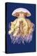 Astro-Jellyfish-Ernst Haeckel-Stretched Canvas