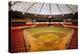 Astrodome Stadium-null-Premier Image Canvas