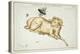 Astrology - Aries-Sidney Hall-Stretched Canvas