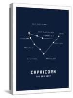 Astrology Chart Capricorn-null-Stretched Canvas