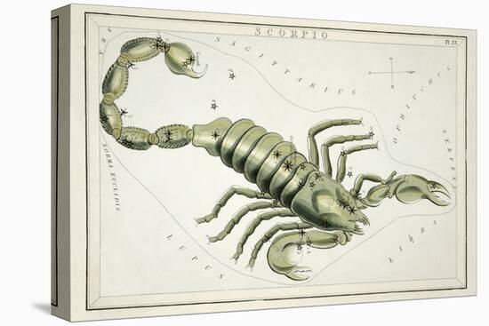 Astrology - Scorpio-Sidney Hall-Stretched Canvas