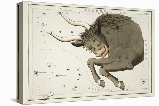 Astrology - Taurus-Sidney Hall-Stretched Canvas