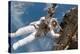 Astronaut Fuglesang Performing Spacewalk-null-Premier Image Canvas