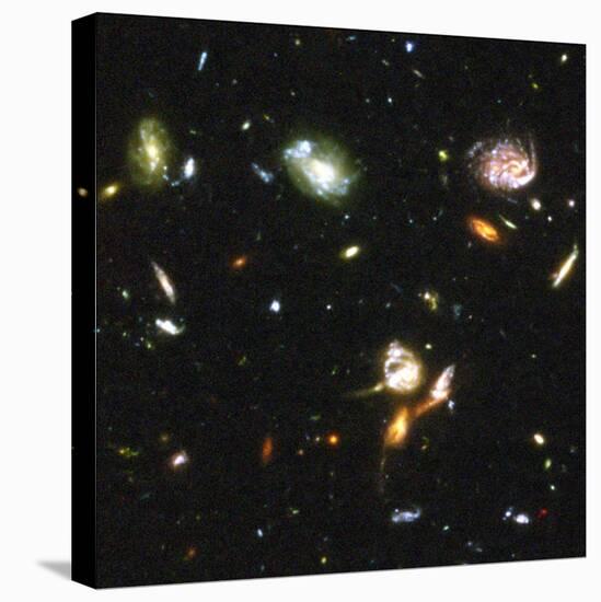 Astronomers at Space Telescope Science Institute Unveiled the Deepest Portrait of Universe, 2004-null-Premier Image Canvas