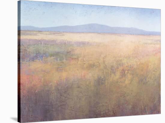 At a Distance-Jeannie Sellmer-Stretched Canvas