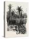 At Monte Carlo, Monaco, the Cornice Road, 19th Century-null-Premier Image Canvas