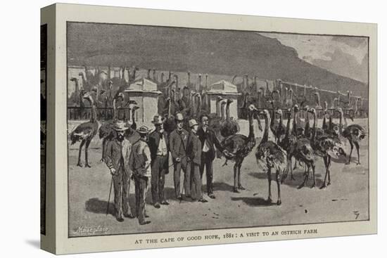 At the Cape of Good Hope, 1881, a Visit to an Ostrich Farm-null-Premier Image Canvas