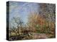 At the Edge of the Forest in Fontainebleau, 1885-Alfred Sisley-Premier Image Canvas