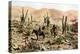 Atacama Desert, Northern Chile, South America, C1923-null-Premier Image Canvas